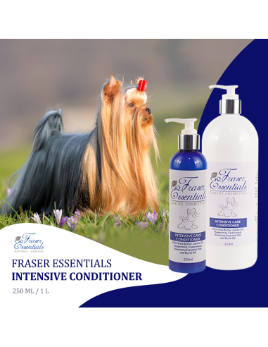 Fraser Essentials Intensive regenerator